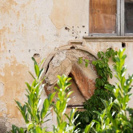 Domus Festina Lente Apartment Orvieto Bagian luar foto